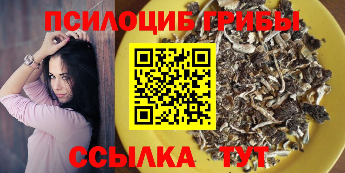 Галлюциногенные грибы Psilocybe Советск